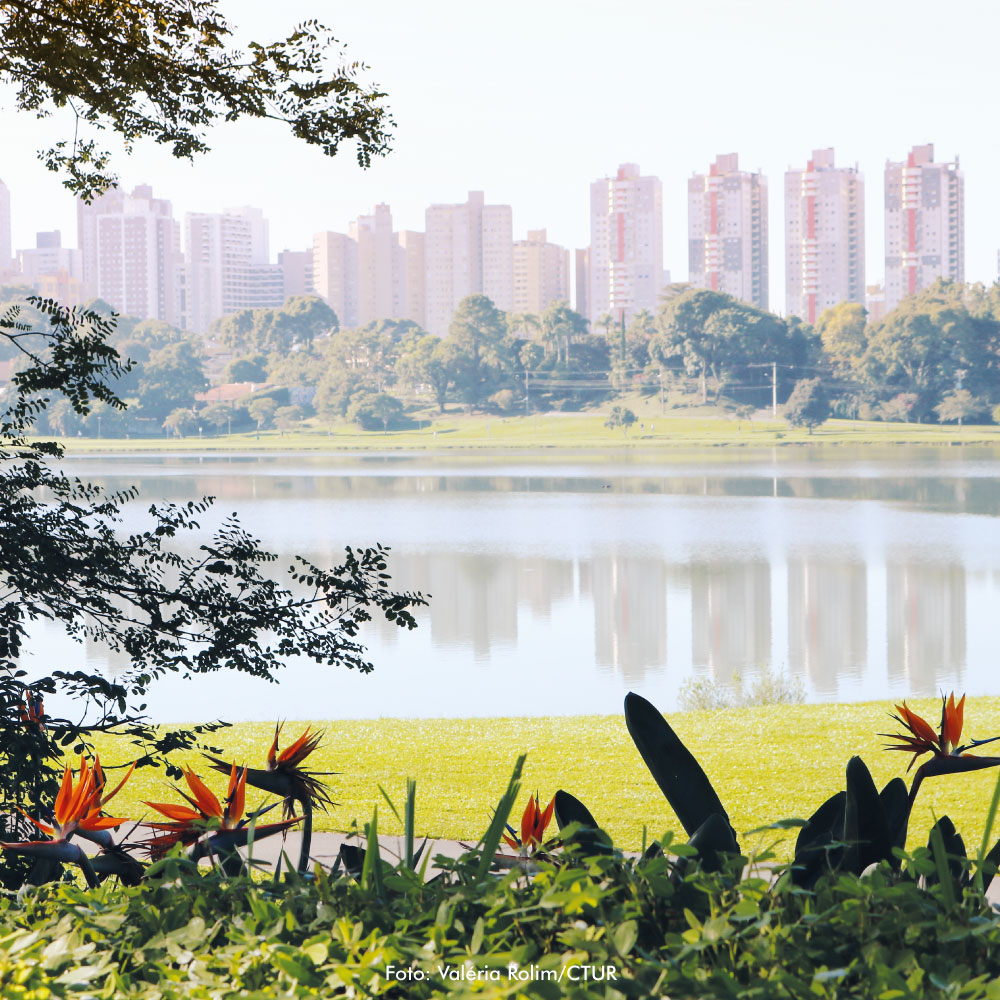 Descubra a História dos Jacarés do Parque Barigui em Curitiba!